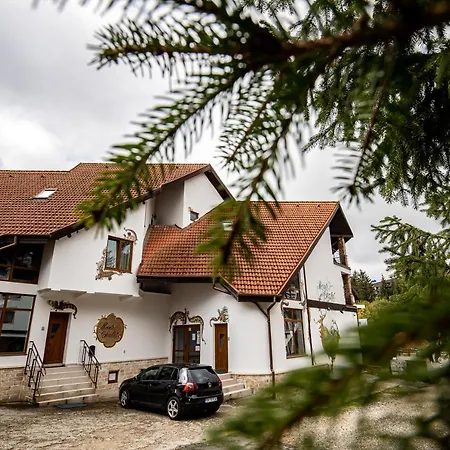 Bed & Breakfast Monti Poiana Brasov